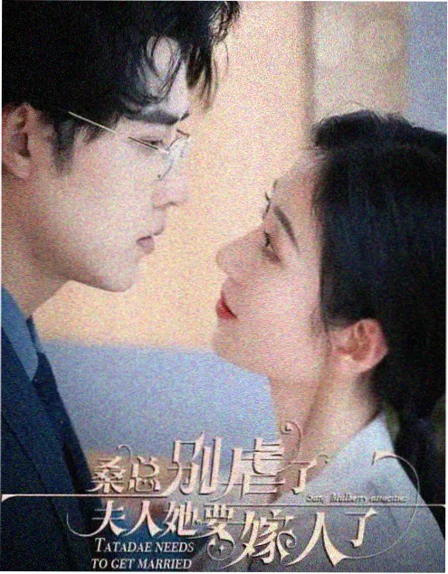 免费在线电视剧《沉默的回声》